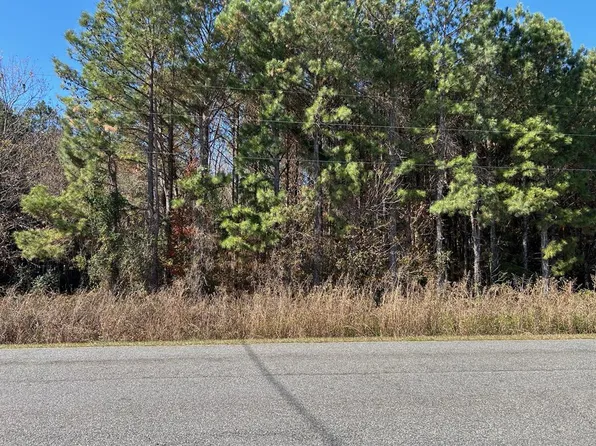 A 1 13 Elko Rd, Unadilla, GA 31091