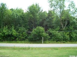 20-&-21 V/l Chippewa, Medina, OH 44256