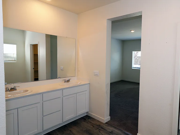 Primary bath vanity