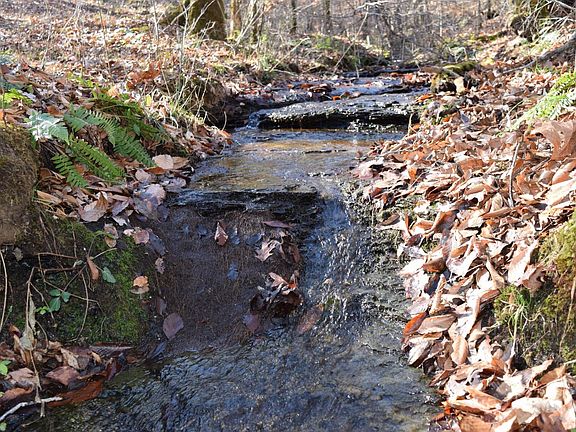 Many creeks and springs.