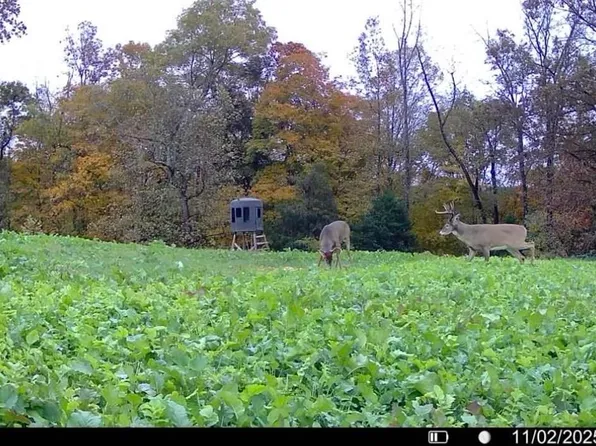 0 Cedar Flat Curtis Rd, Edmonton, KY 42129