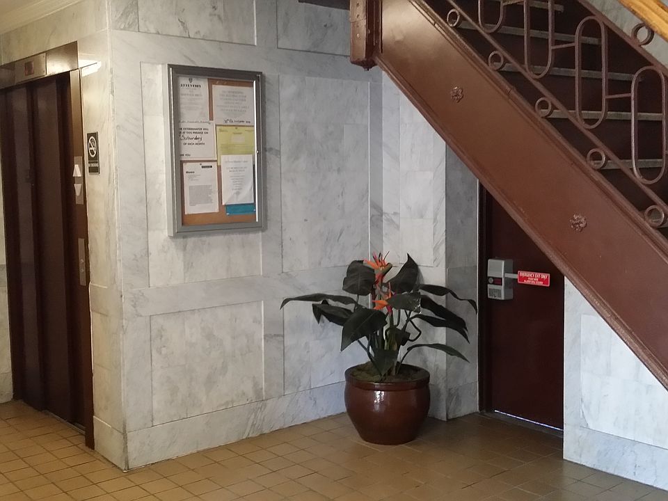 1st image of 824 St Nicholas Ave APT 22