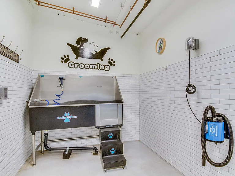 If your pet loves the outdoors, you'll love our pet grooming center