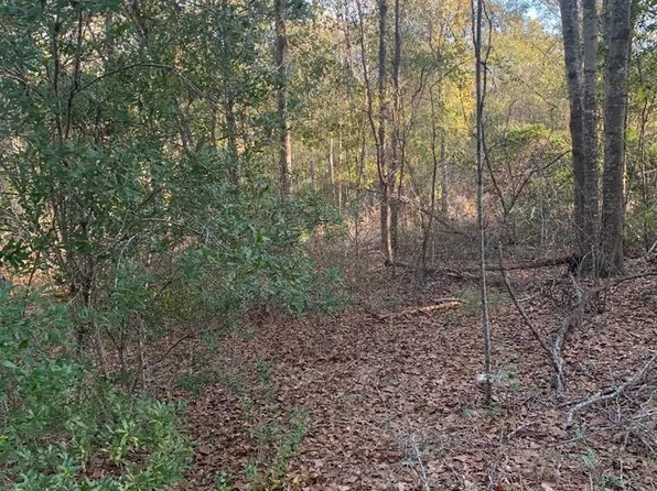 0 Lonnie Brown Dr, Fitzgerald, GA 31750