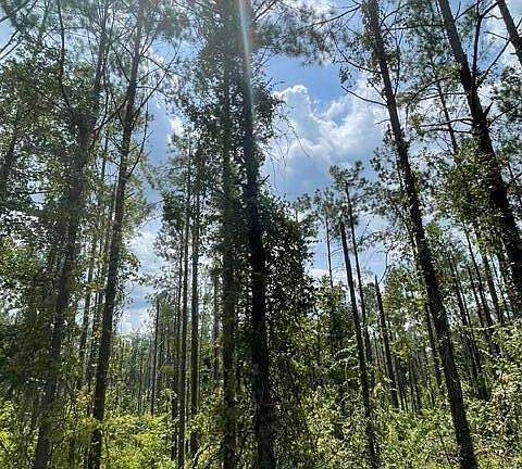 5th image of County Road 331