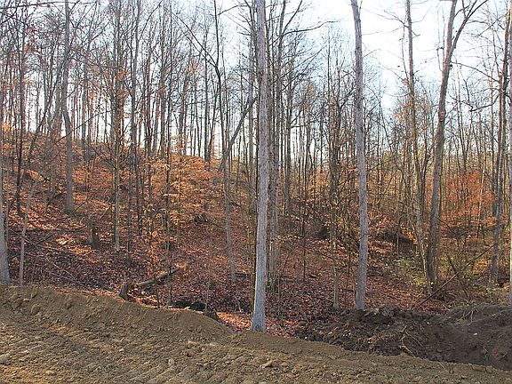 4th image of 0 Woods Ln Lot 1