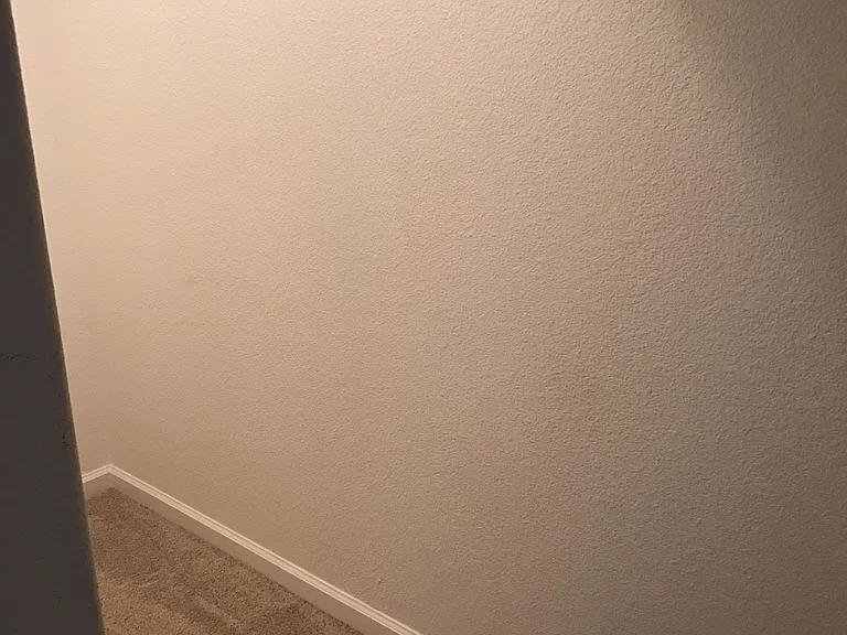 Additional carpeted storage area under stairs