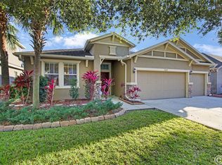15604 Starling Water Dr, Lithia, FL 33547