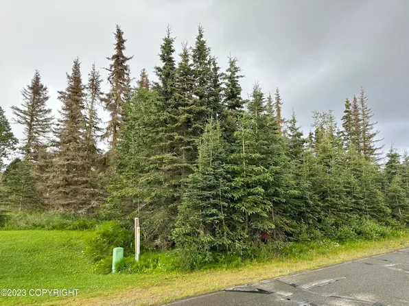 2519 Vip Dr, Kenai, AK 99611