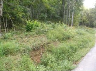 TR 1 Roller Rd, Unicoi, TN 37692