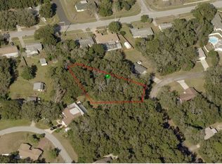 2166 W Beach Plum Dr, Citrus Springs, FL 34434