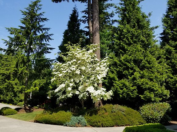 4th image of 8650 Great Horned Owl Ln