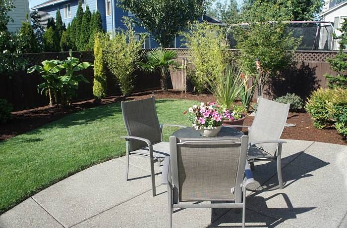 Backyard oasis