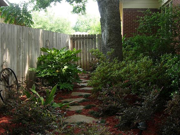 Backyard landscaping
