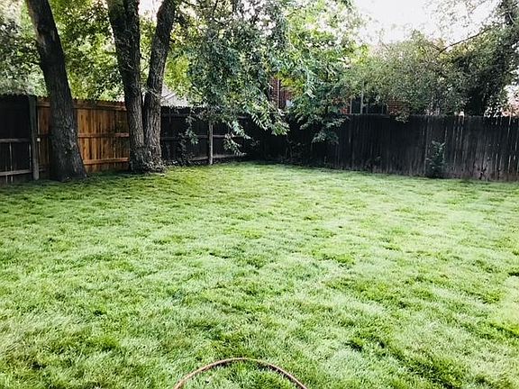 yard in summer
