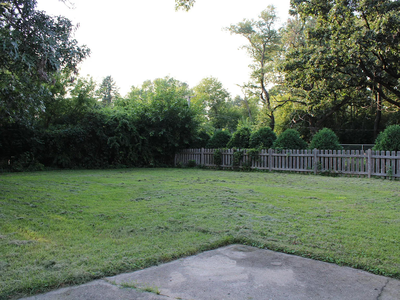 3 bed, 1200 sqft, $2,500 — Photo 3