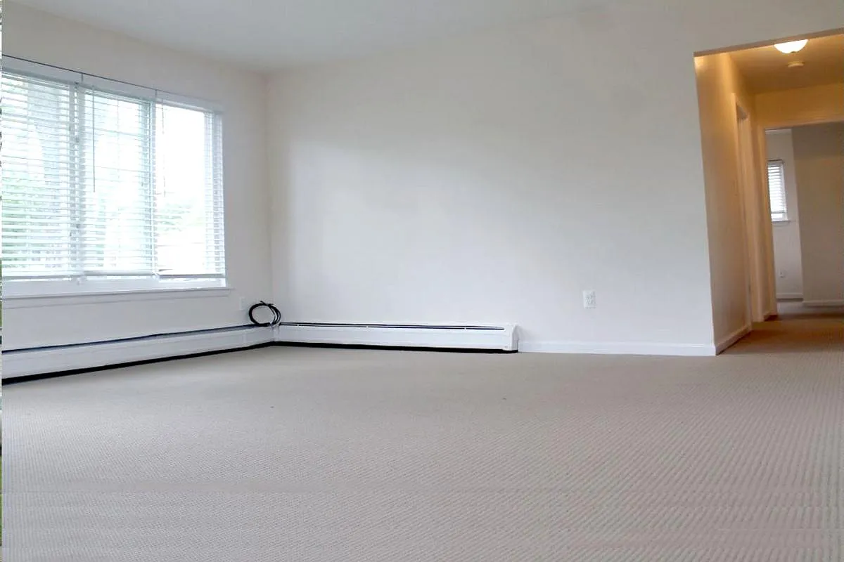 3 bed, 950 sqft, $1,500 — Photo 4