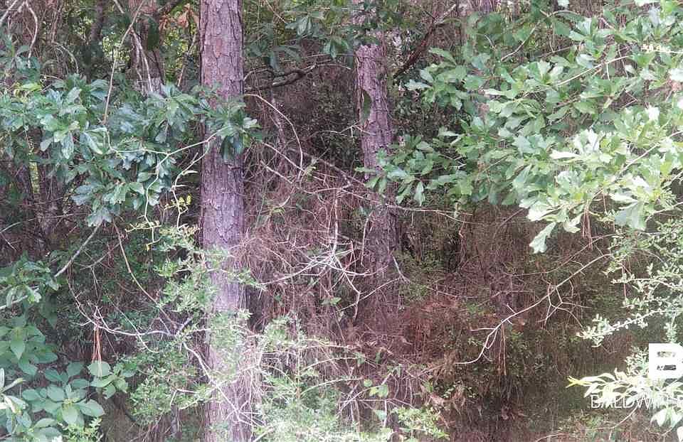 2nd image of 0 Vaughn Rd