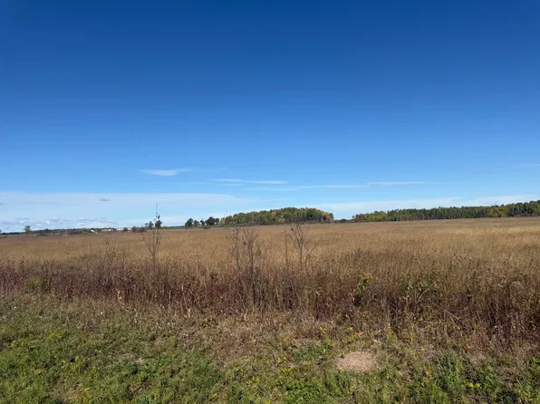 PARCEL 9 E Town Line Rd, Pickford, MI 49774