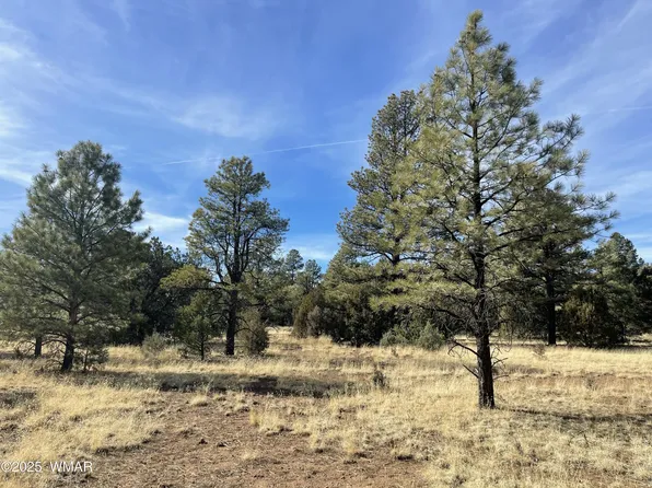 43 County Road 2018, Nutrioso, AZ 85932