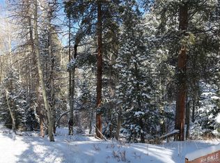 9028 Black Mountain Dr, Conifer, CO 80433