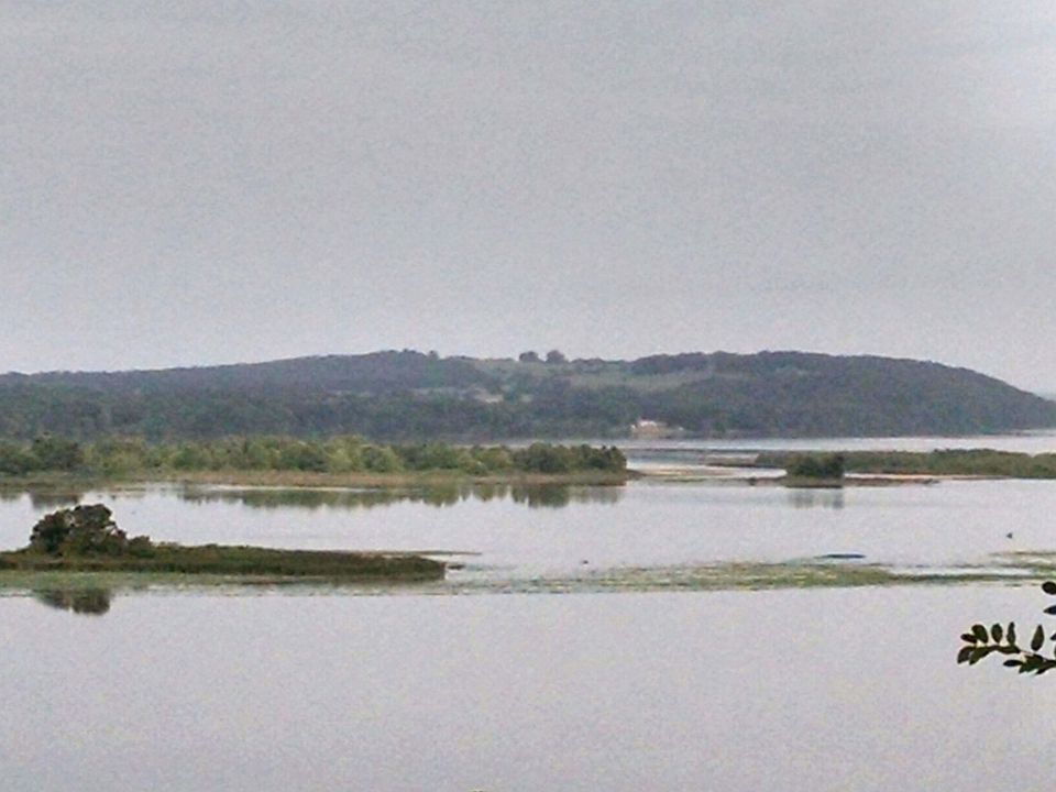 1st image of 113 Eagle Cove