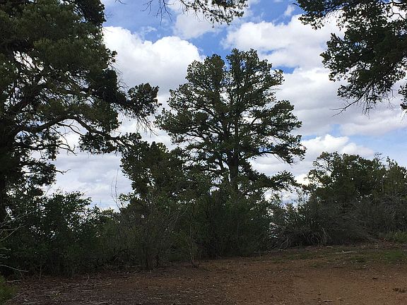 5th image of 11 Woodlands At La Sal