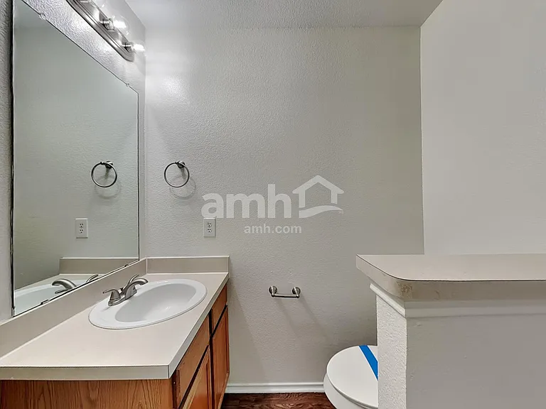 1036 Cove Hollow Dr — Photo 20