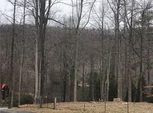 9 Tanglewood Ln, Saluda, NC 28773