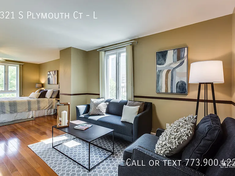 1321 S Plymouth Ct #L — Photo 10