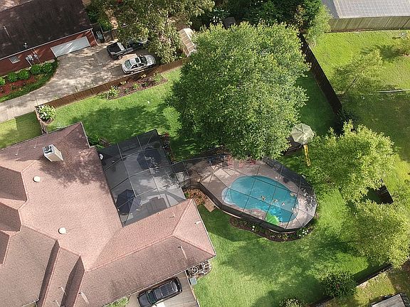 Bird View (Rear)