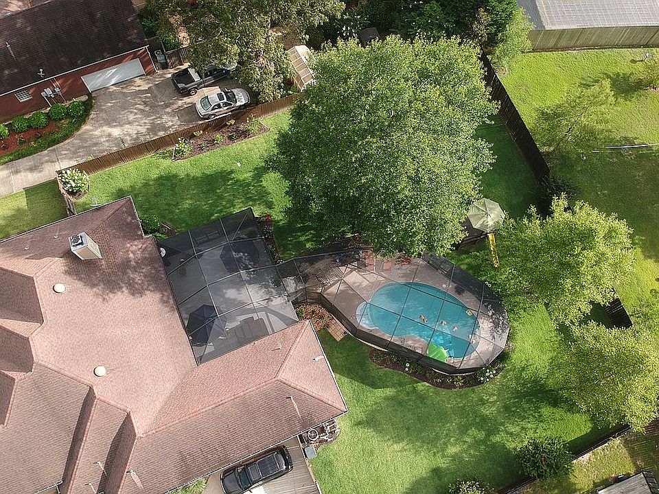 Bird View (Rear)
