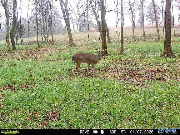 4th image of LOT 3 Moe Rd