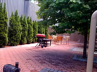 Rented by Mark David