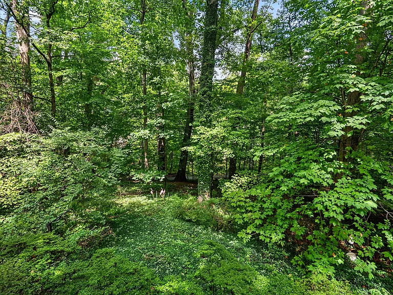 110 Devon Ct — Photo 38