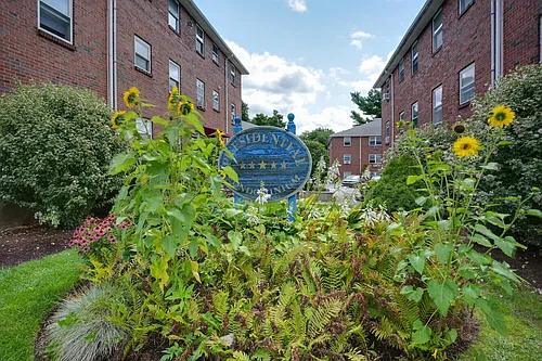 39 Montvale Ave #9 Photo 1 39 Montvale Ave #9 Photo 1