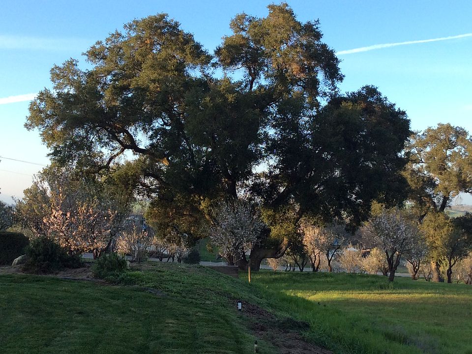 2nd image of 4805 Santa Cruz Rd
