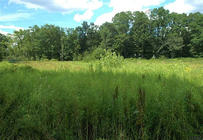 4th image of 0 STONEBRIDGE EXT Road