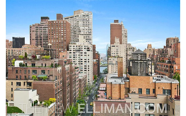 Sold by Douglas Elliman | media 17