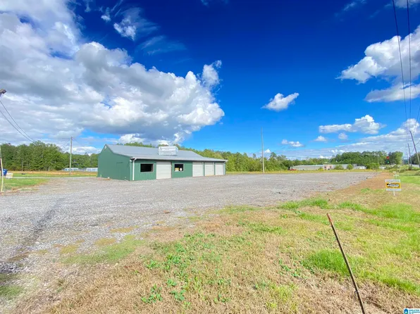 100 Fant Dr, Ashville, AL 35953