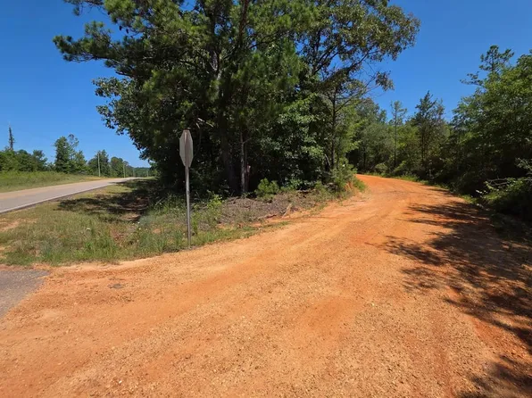 3 Perry Luckie Rd, Greenville, AL 36037