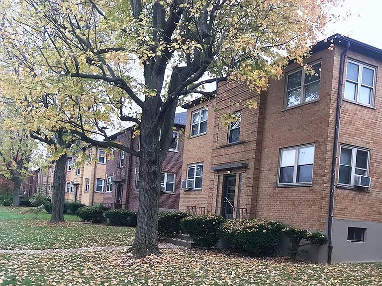 Edroy Court — Photo 25