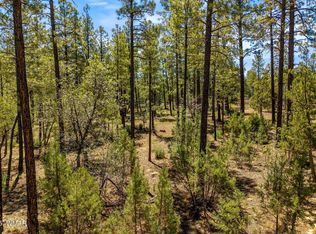 S Hart Lake Ln, Lakeside, AZ 85929