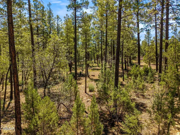 S Hart Lake Ln, Lakeside, AZ 85929