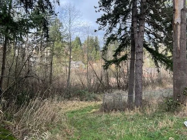 701 Iron Street, Eatonville, WA 98328