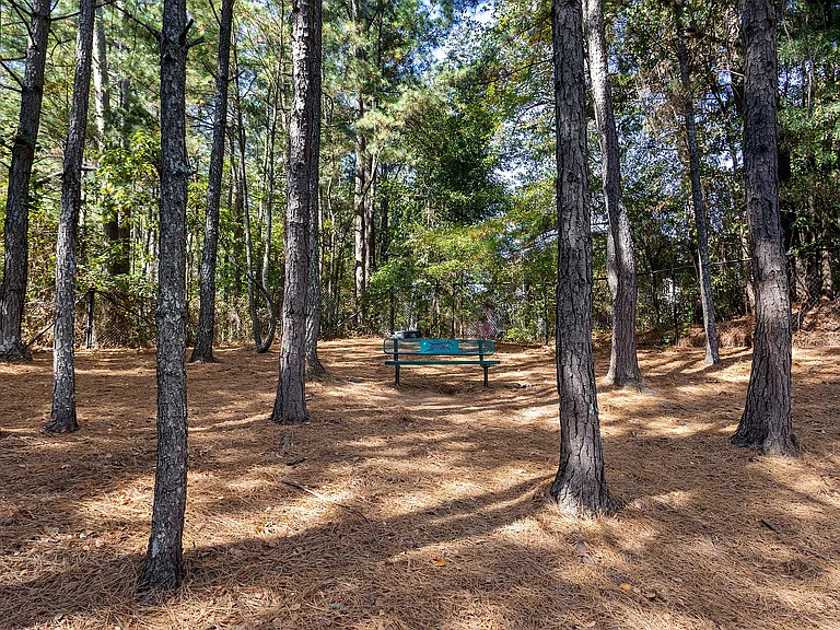 C234080_RetreatAtSweetwater_DogPark_02_ 1
