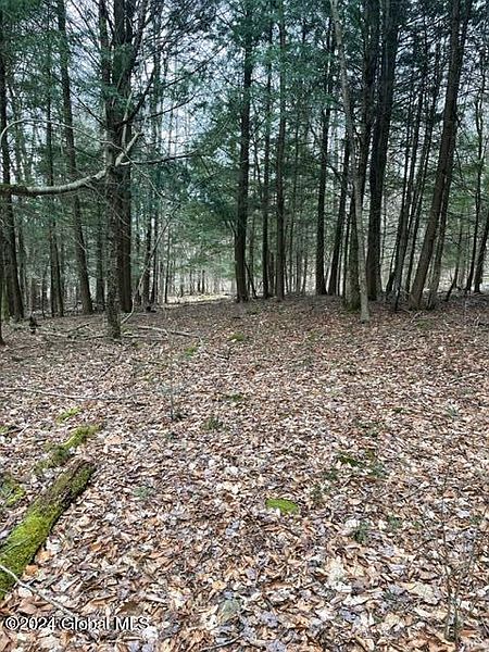 4th image of 0 Red Pond Road Road