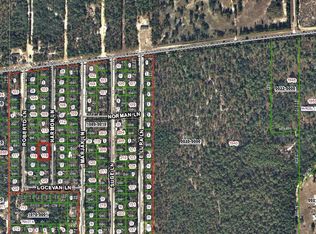 119 Harmon Ln, Florahome, FL 32140
