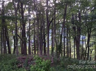 0 Busbee Mountain Rd, Asheville, NC 28803