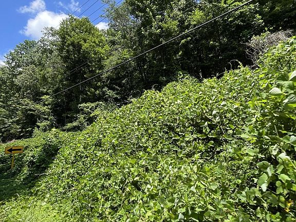 5th image of 1 Pittman Center Rd